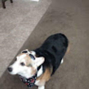 Meet your Posher, Ajnonstop15